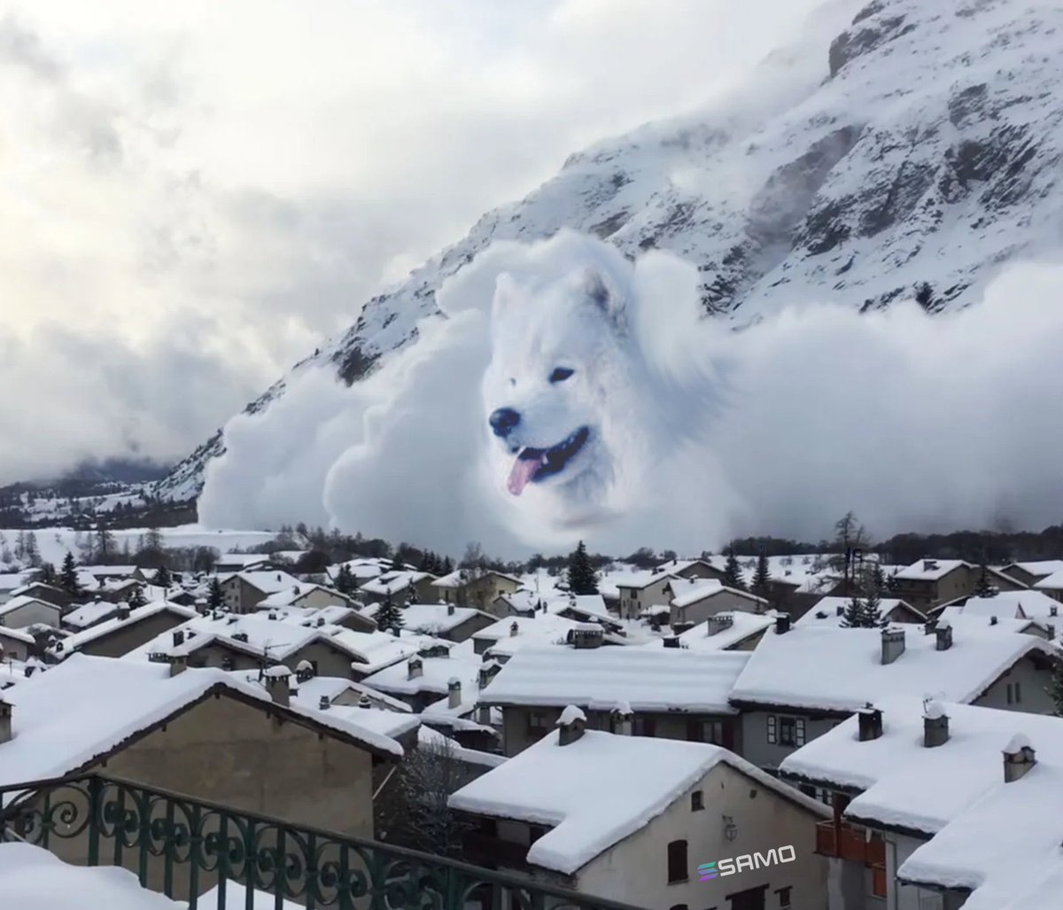 Samoyedcoin SAMO Solana