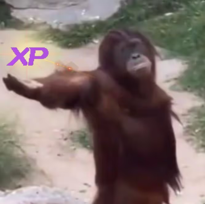 Base chain fast NFT transactions