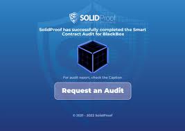 crypto smart contract audit report