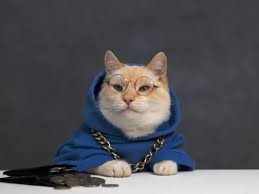 Toshi $TOSHI meme coin Base network