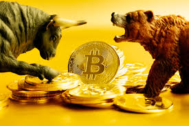 bear vs bull market crypto