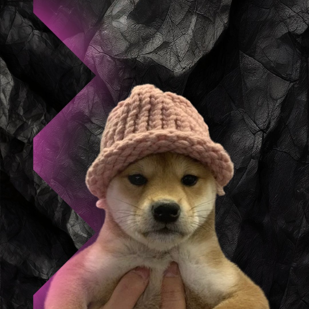 dogwifhat WIF Solana coin