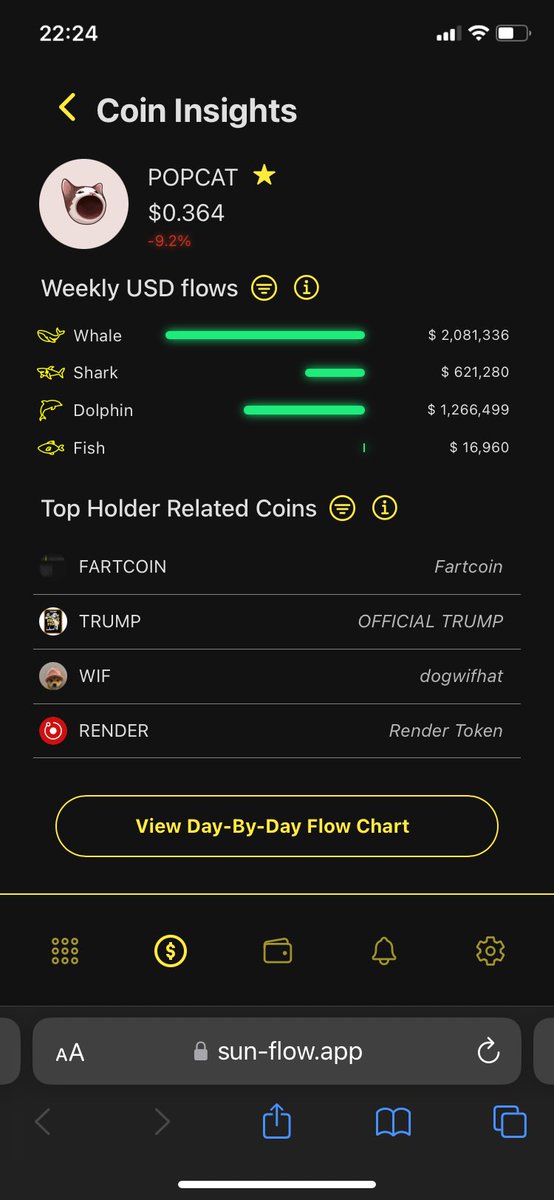 Popcat POPCAT Solana coin