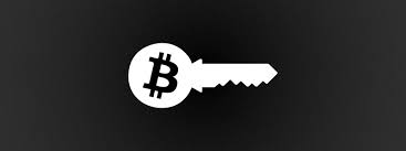 private key crypto icon