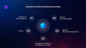 crypto project no audit