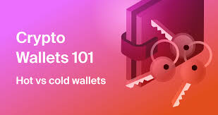 hot wallet ease of use vs cold wallet