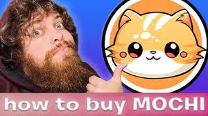 MOCHI memecoin mascot Base chain
