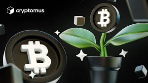 crypto yield farming staking